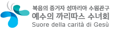 예수의 까리따스 수녀들은 사랑을 살고 사랑을 전하는 예수마음의 사도들 입니다.