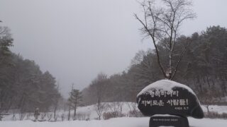 자비로운 사람들